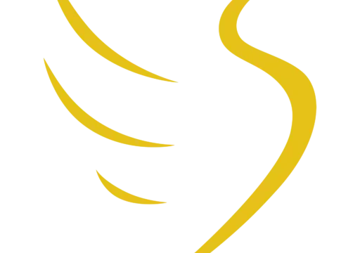 ROBERT-DESPOUY Jean-Baptiste